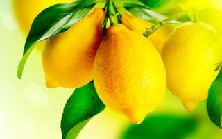 Все о пользе и вреде лимона при лечении подагры