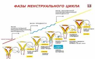 Коричневые выделения у женщин