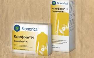 Канефрон: натуральный препарат для лечения пиелонефрита