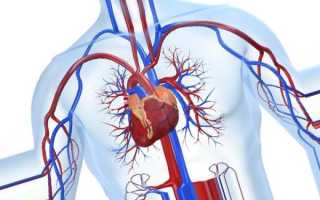 Причины и симптомы гипертрофической кардиомиопатии, а так же диагностика и лечение