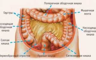 Дискинезия толстой кишки