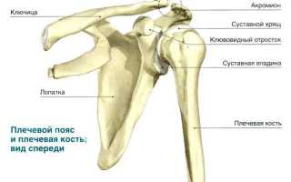 Особенности перелома плечевой кости и сложности в лечении