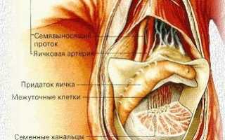 Увеличение яичка у мужчин: причины, симптомы и лечение